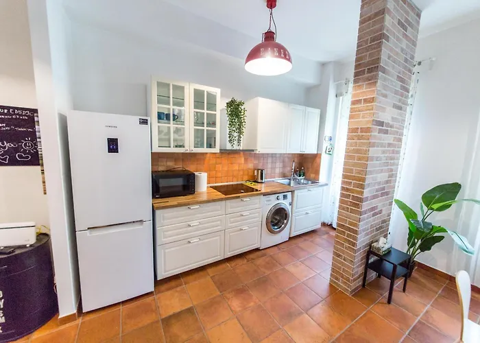 Apartment Irnerio House